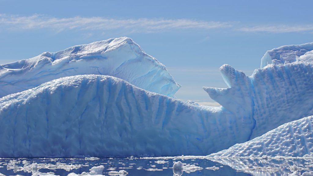 Eisberge vor Cuverville Island