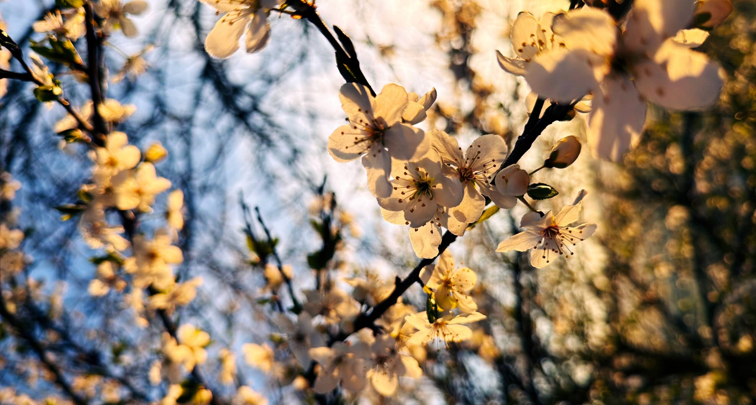 Kategorie: Aktiv und draußen