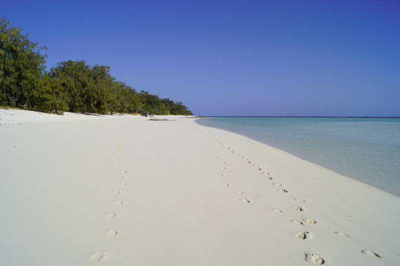 Strand in Heron Island