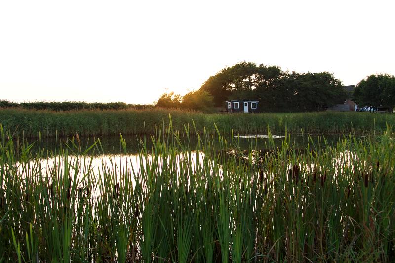 Hjerpsted, Treffpunkt auf der Wiese
