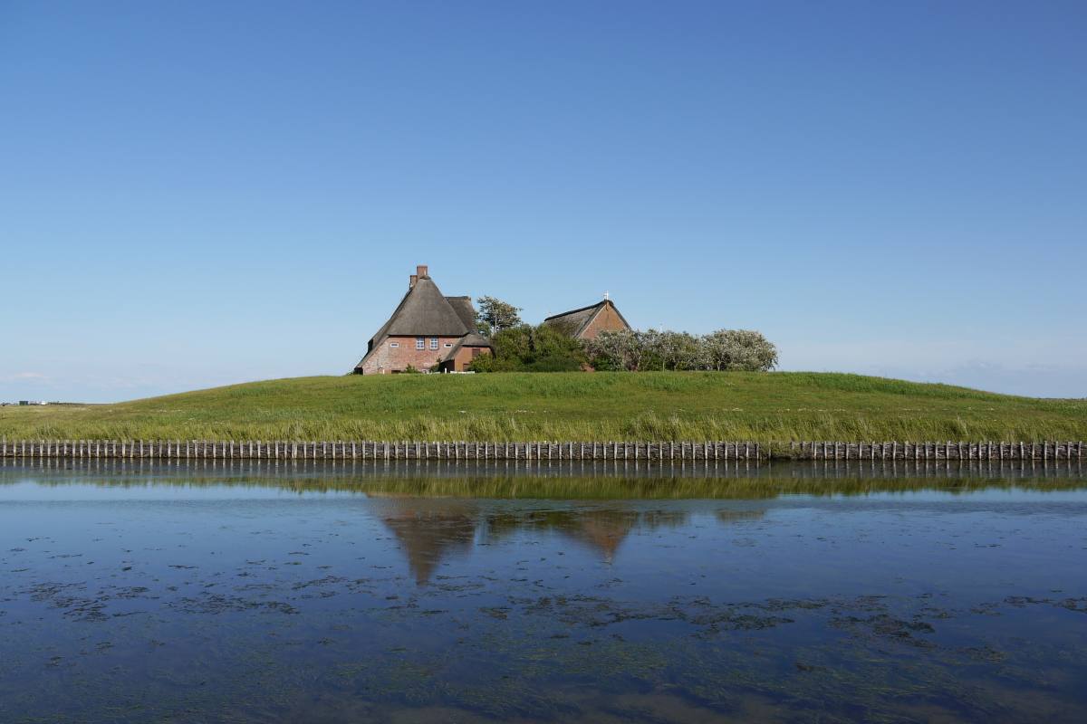 Zum Ersten Mal Auf Hallig Hooge Nordfriesland Erleben