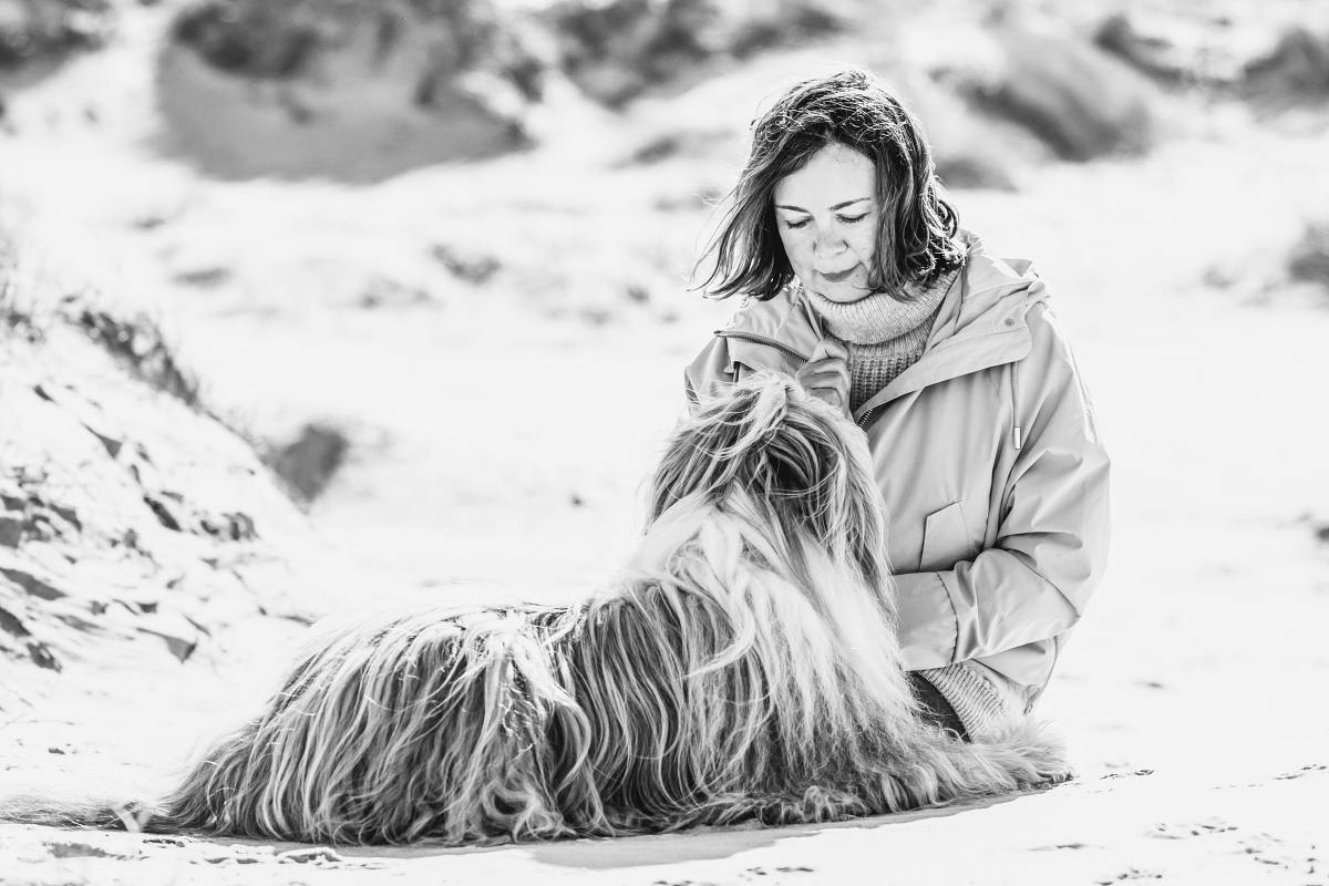 Der wilde Hund und das Meer