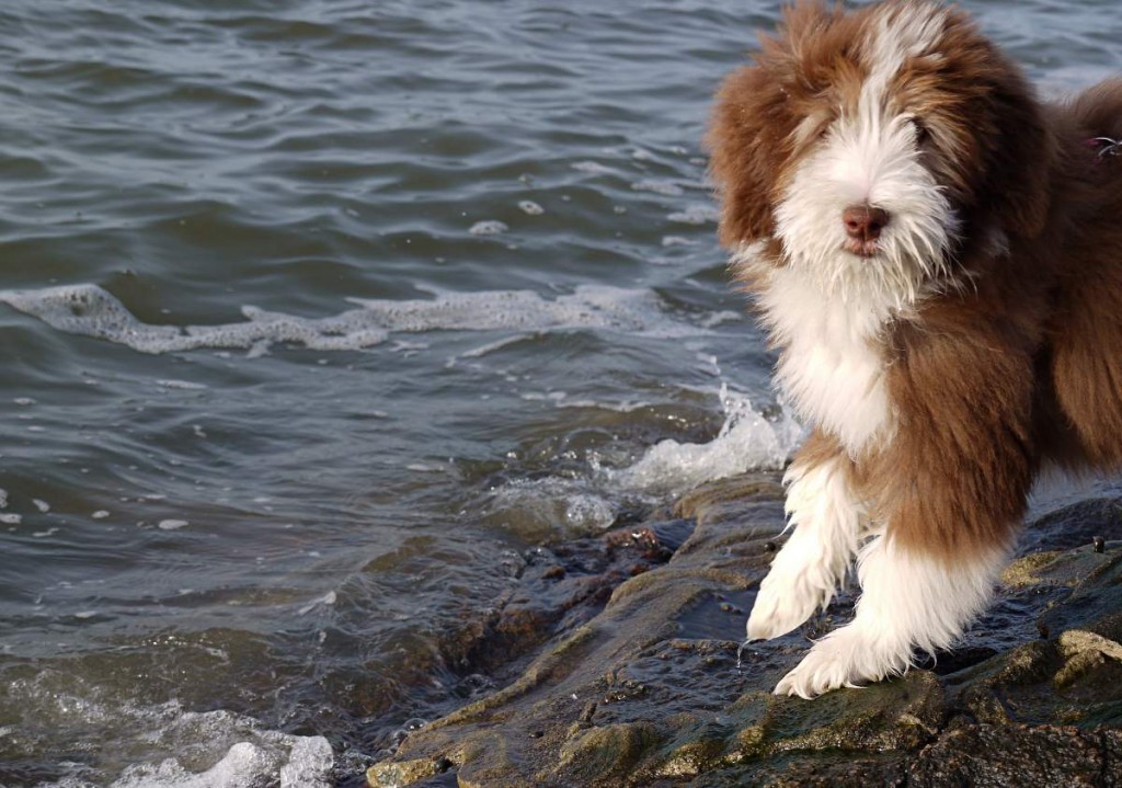 Julchen und das Meer – ein Film von Rennplüsch Media