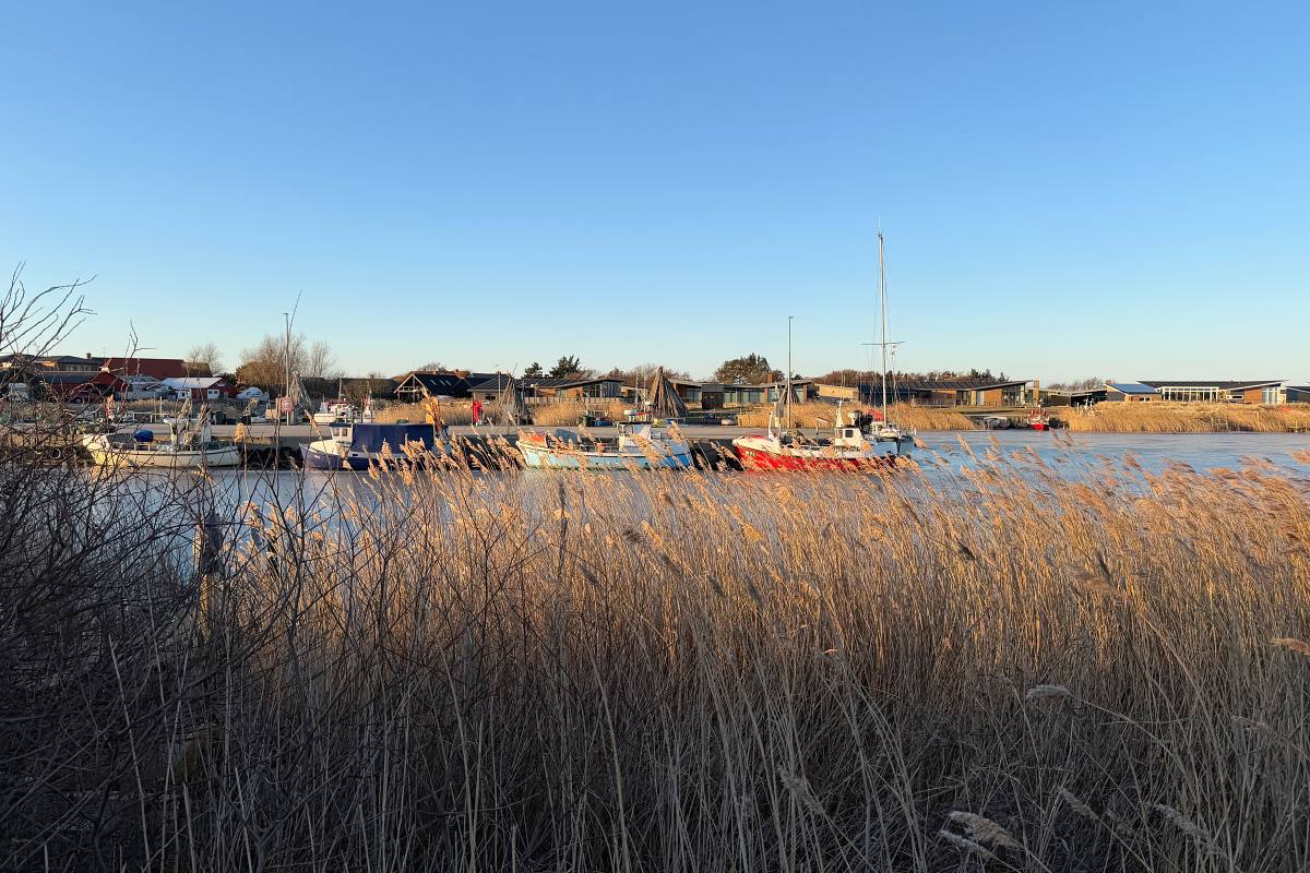 Tyskerhavn. Hvide Sande
