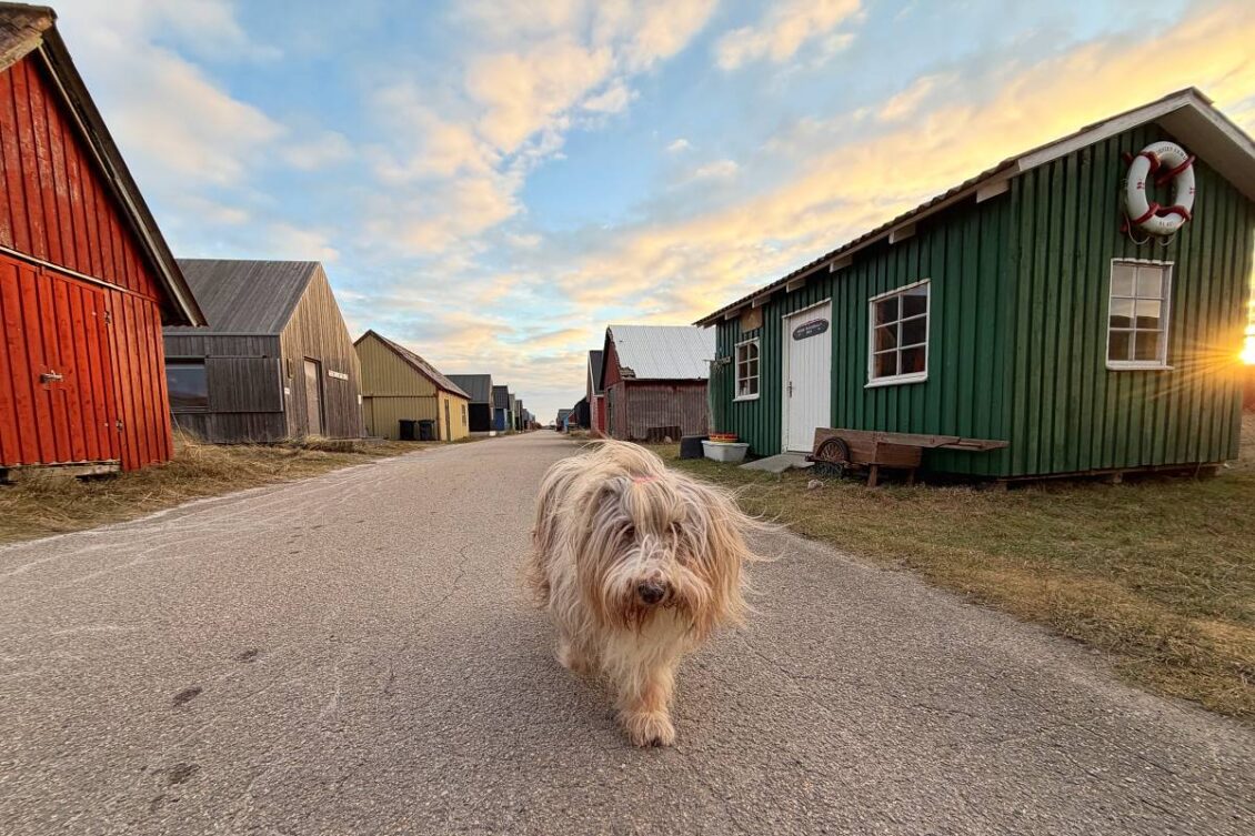 Julchen in Dänemark