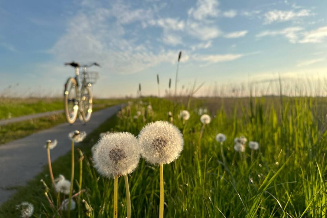 Mit dem Rad durch Nordfriesland