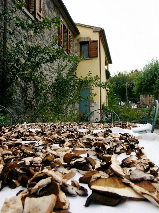 Piero und die Steinpilze Umbrien im Herzen Italiens